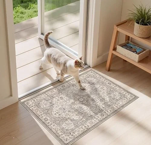 Eieihouse Washable Area Rugs For Living Room -2×3 Neutral Vintage