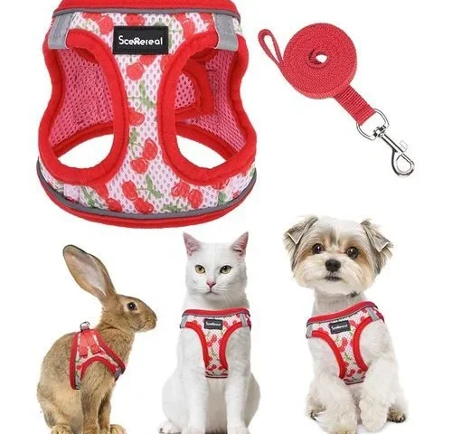 Scenereal Cat Harness Leash Set Escape Proof – Adjustable Air