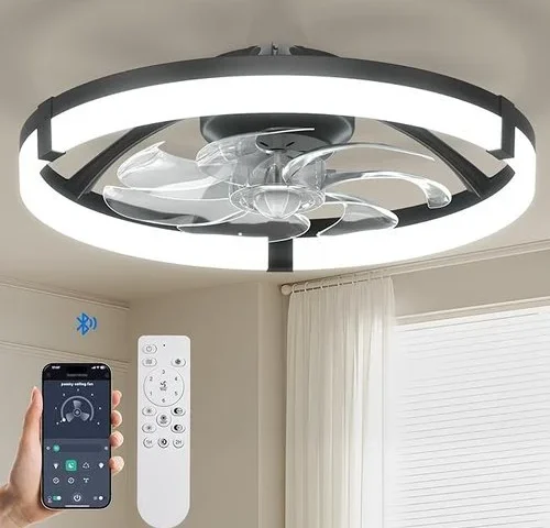 Passky 20 Low Profile Ceiling Fan With Lights And Remote