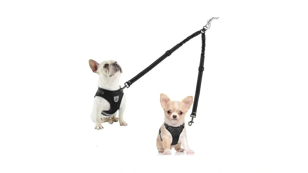 Amazon code: Dual Dog Leash For 2 Dogs Lrhinetar Doub