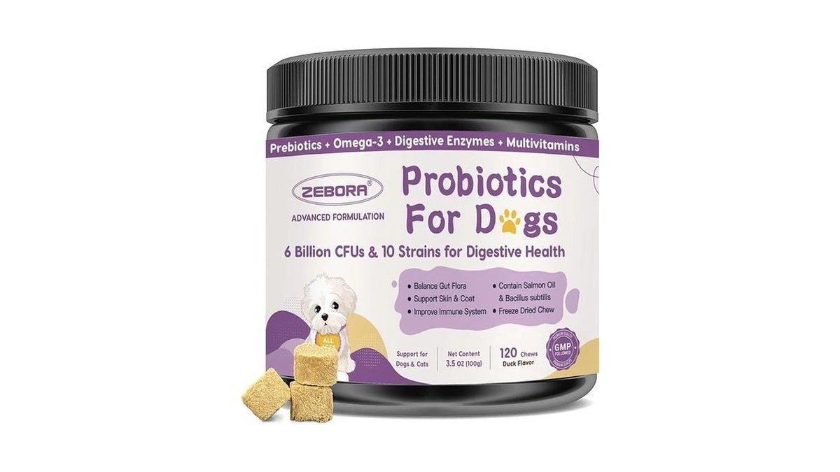 Amazon code: Probiotics For Dogs 6 Billion Cfus 10 St