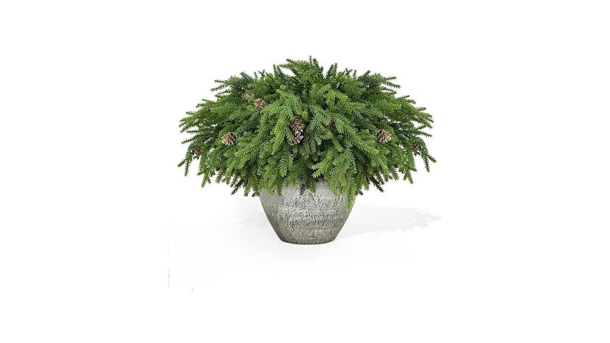 Amazon code: 12 Pcs Christmas Greenery Stems With Pin