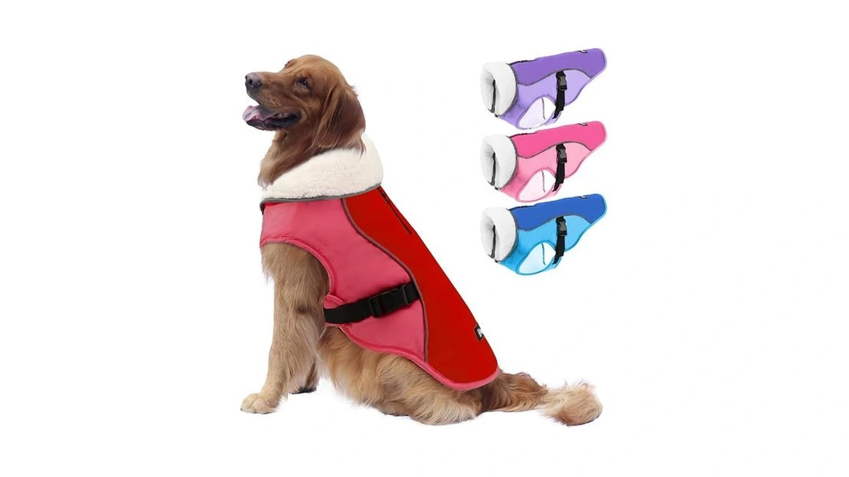 Amazon coupon: Emust Dog Jacket Winter Cozy Windproof D