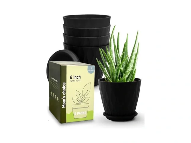 Goproauto 6 Inch Indoor Planter Pots With Drainage… Code