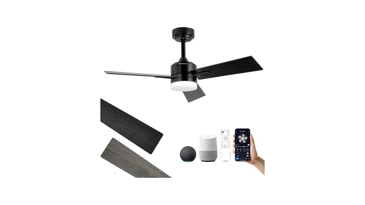 Amazon code: Baysquirrel Samrt Ceiling Fan With Light