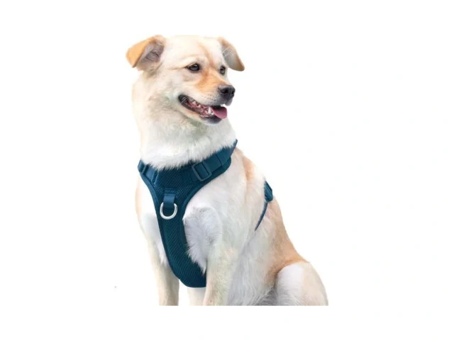 No Pull Dog Harness For Small Medium Large Dogs -… Code