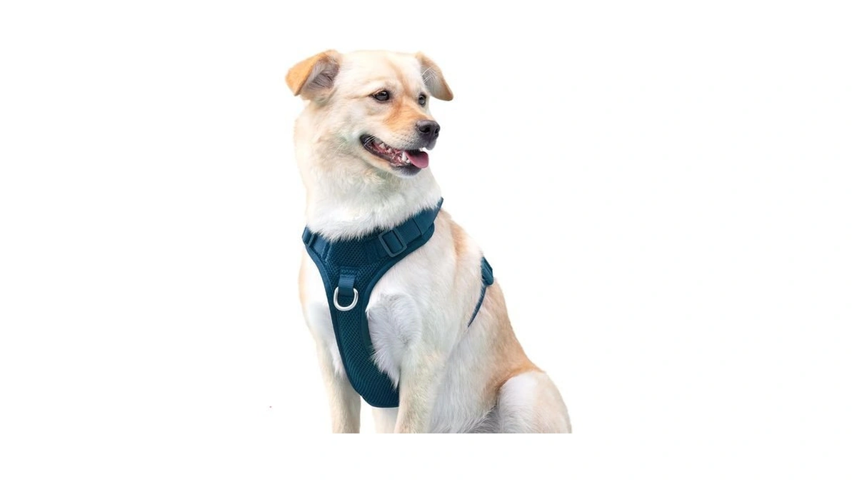 Amazon code: No Pull Dog Harness For Small Medium Lar