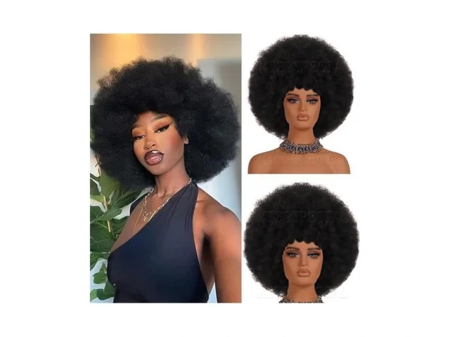Missspecial Afro Wig 70s Curly Wigs For Black Women…