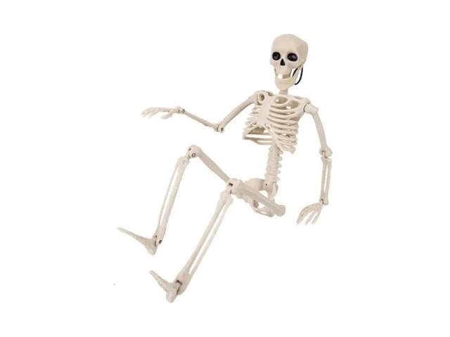 1pcs Halloween Skeleton Decorations 16 Halloween… Code