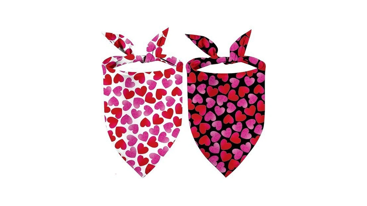Amazon code: Valentine S Day Dog Bandanas 2 Pack Grad