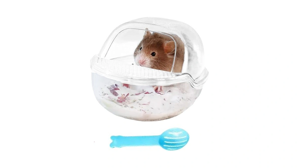 Amazon code: Cyumail Hamster Sand Baths Code Qad2a...