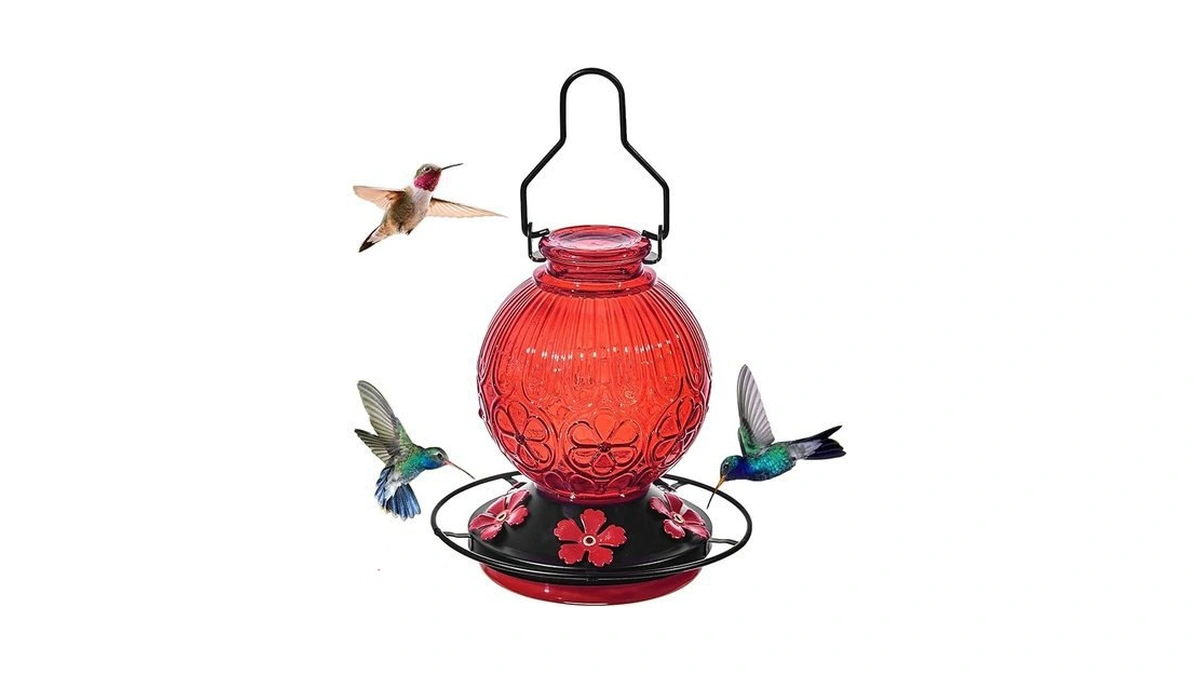Amazon code: Glass Hummingbird Feeders For Outdoors H