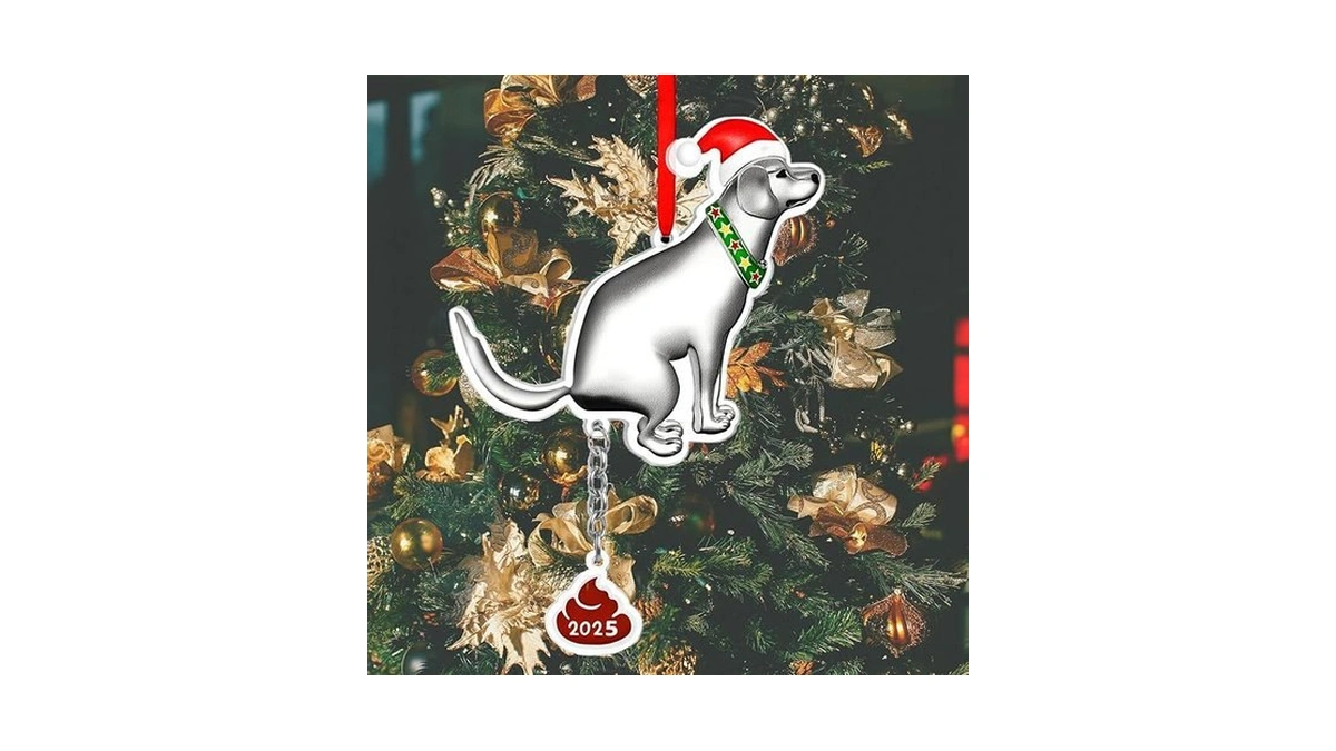 Amazon code: 2025 Dog Christmas Ornament - Funny Chri