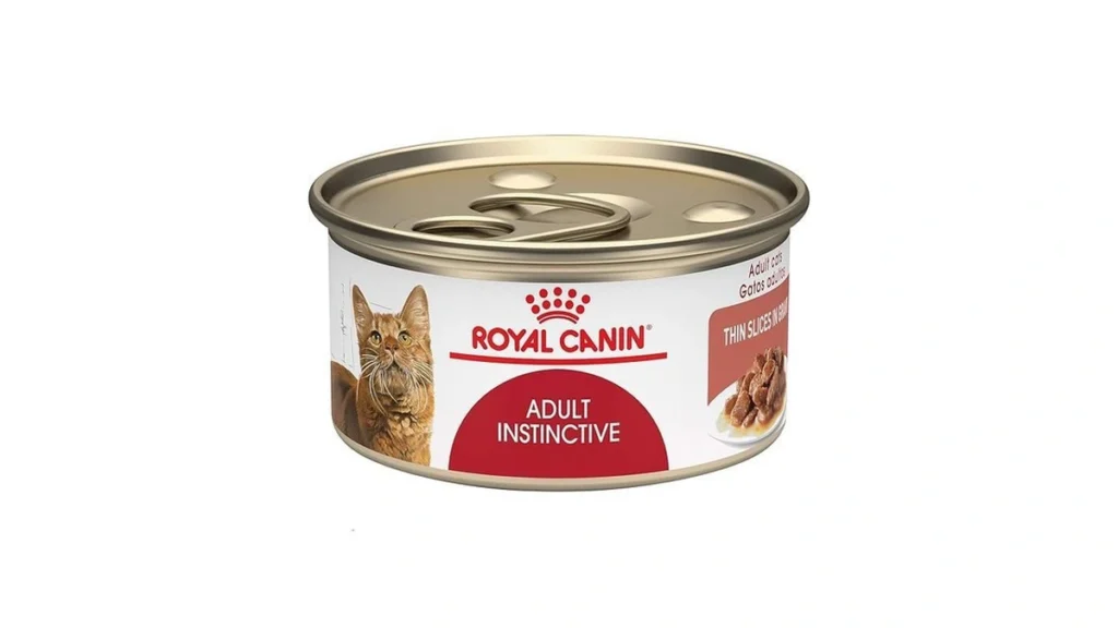 Amazon coupon: Royal Canin Feline Health Nutrition Adul
