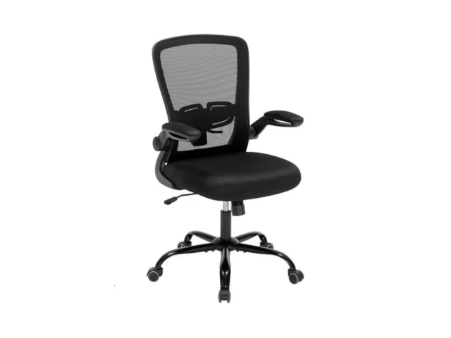 Office Computer Desk Chair Ergonomic Executive… Coupon