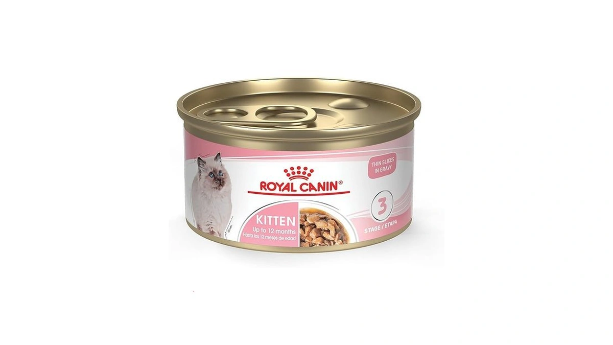 Amazon coupon: Royal Canin Feline Health Nutrition Kitt