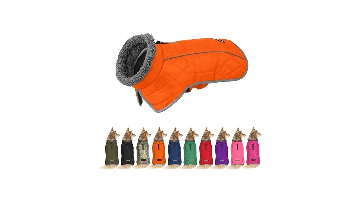 Amazon code: Fragralley Dog Coat Small Waterproof Dog