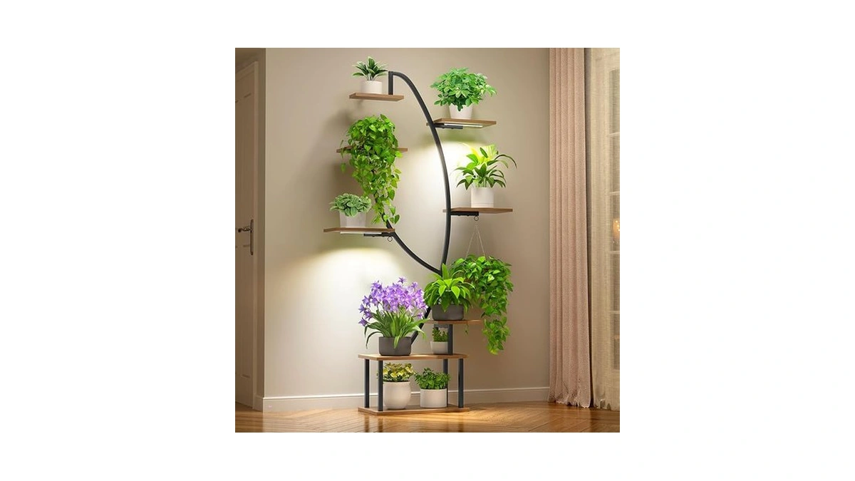 Amazon code: Zekoled Indoor Plant Stand With Grow Lig