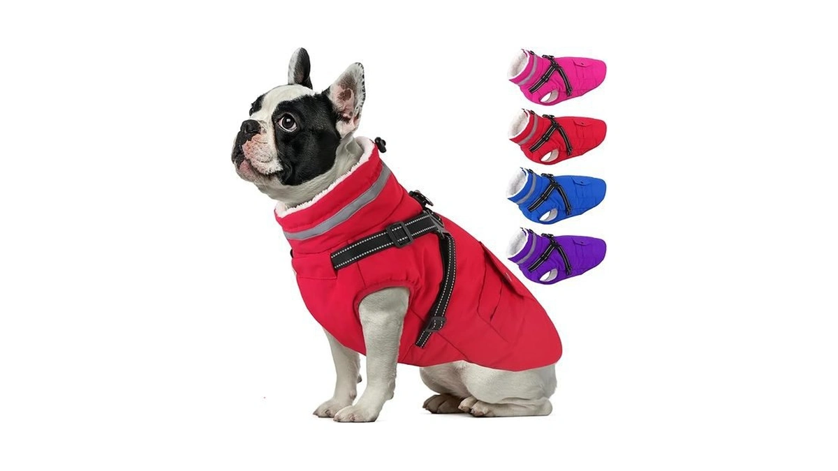 Amazon code: Dogcheer Dog Coat With Harness Waterproo