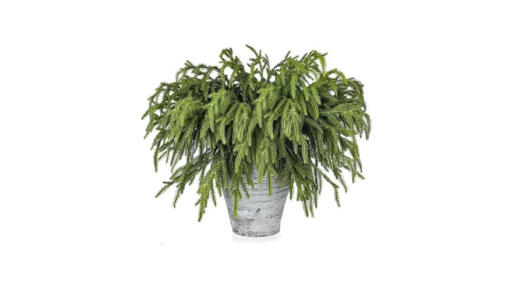 Amazon code: Artgar 12 Pcs Pine Branches - 18 Inch Ar