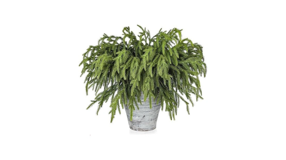 Amazon code: Artgar 12 Pcs Pine Branches - 18 Inch Ar