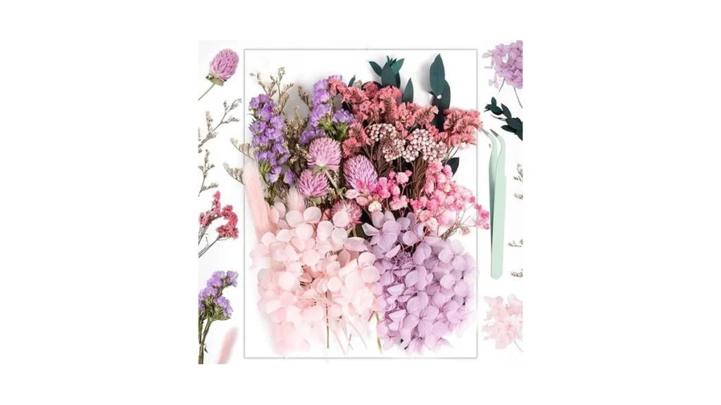 Amazon coupon: Natural Dried Flowers Resiners 100 Real