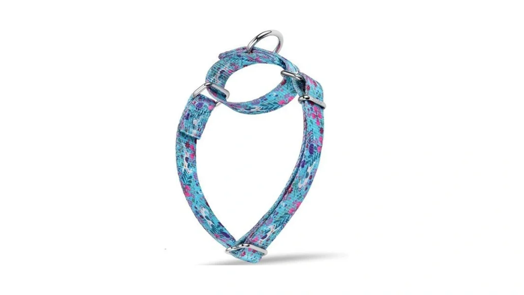 Amazon coupon: Dazzber Martingale Collar - Dog Collar -