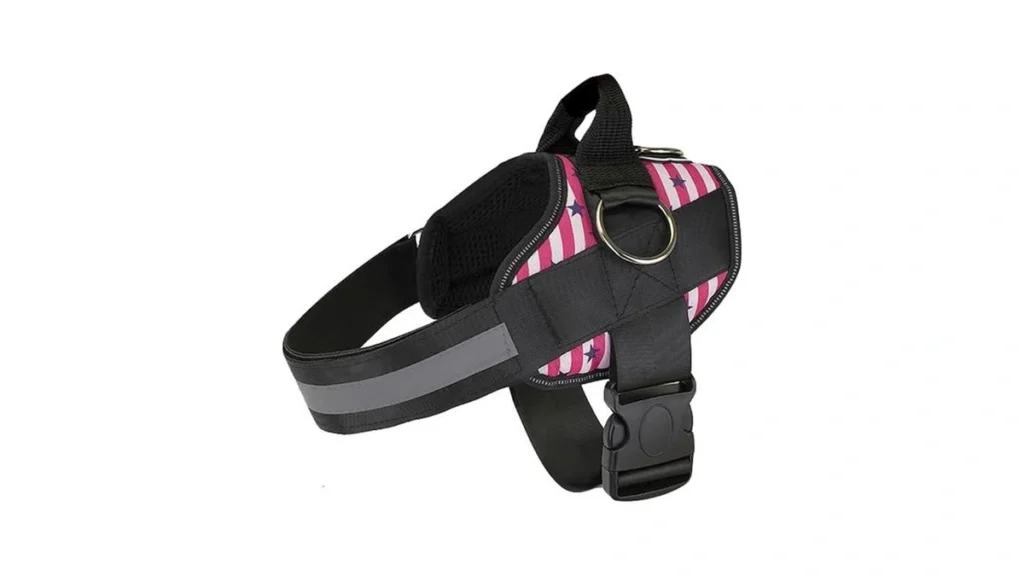 Amazon coupon: Joyride Basic Essential Dog Harness 1 0
