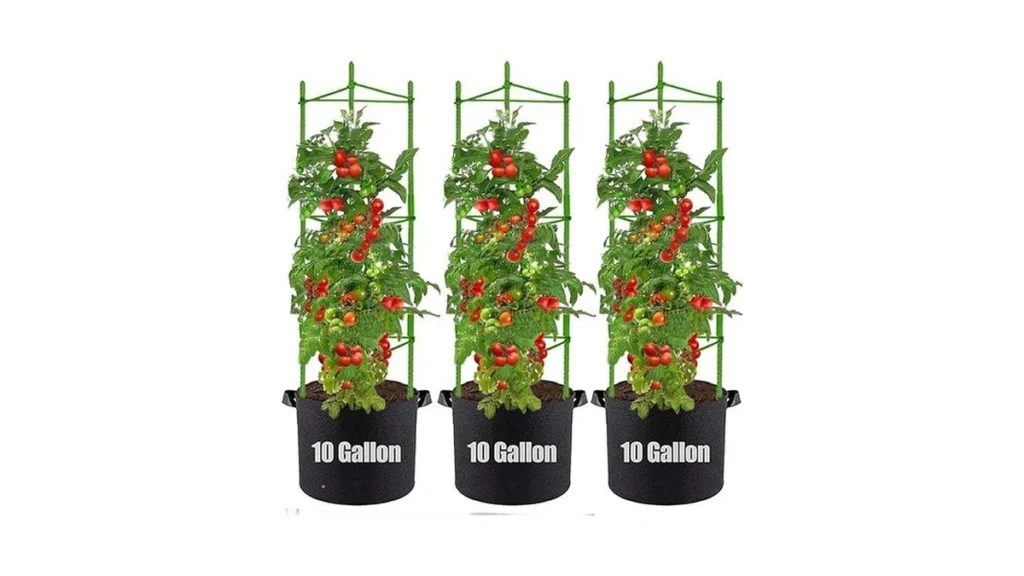 Amazon code: Tomato Cages With 10 Gallon Grow Bags 48