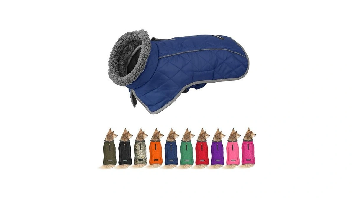 Amazon code: Fragralley Dog Coat Large Waterproof Dog