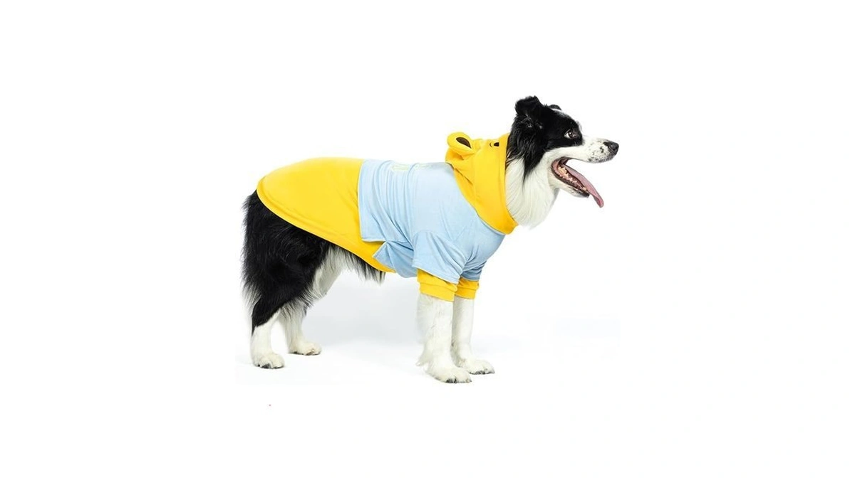 Amazon code: Delifur Dog Halloween Bear Costume - Ado
