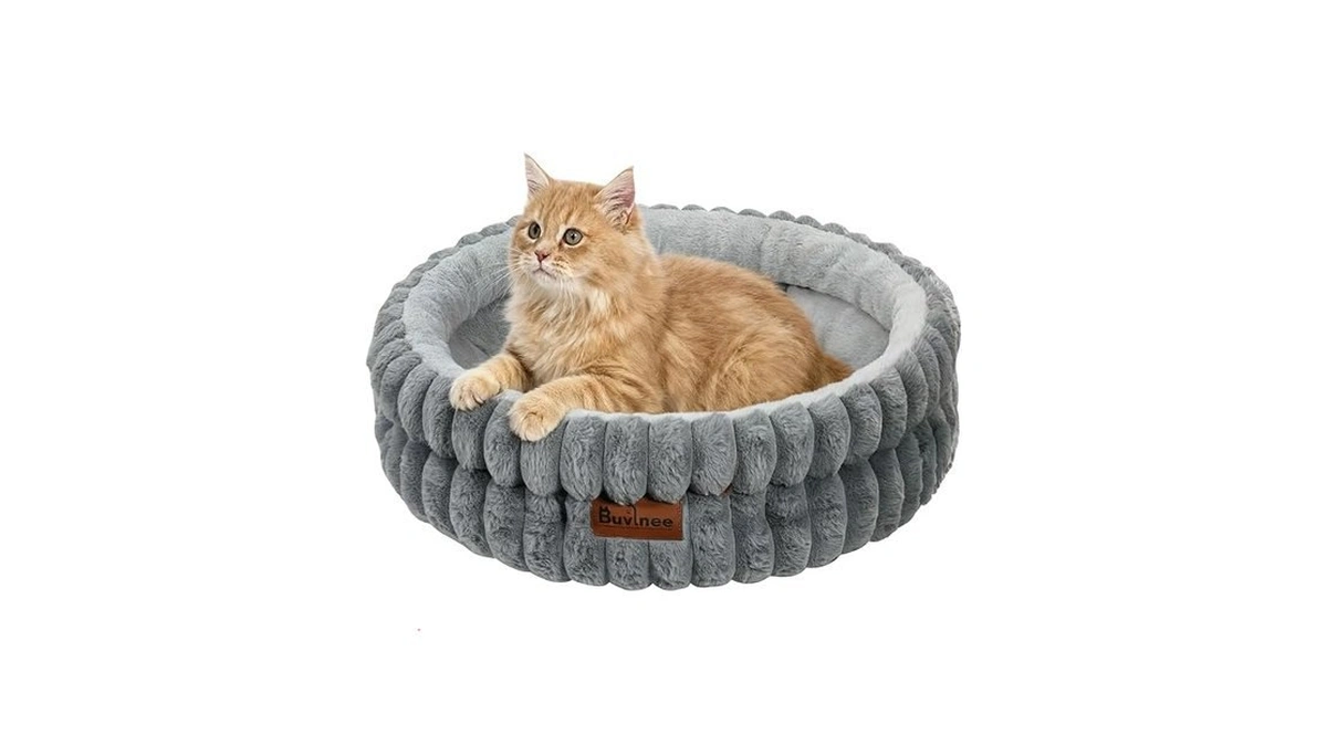 Amazon coupon: Buvlnee Cat Beds For Indoor Cats Washabl