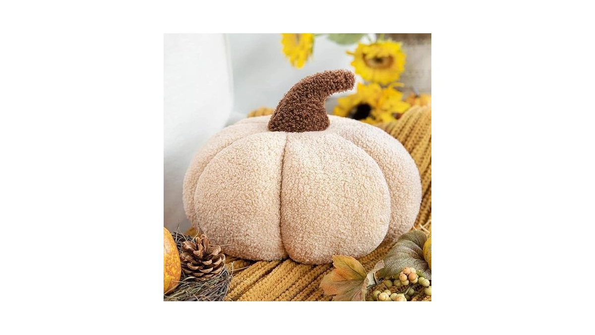 Amazon coupon: Phantoscope Teddy Fleece Pumpkin Throw P