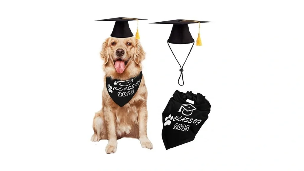 Amazon code: Dog Graduation Cap With Yellow Tassel An