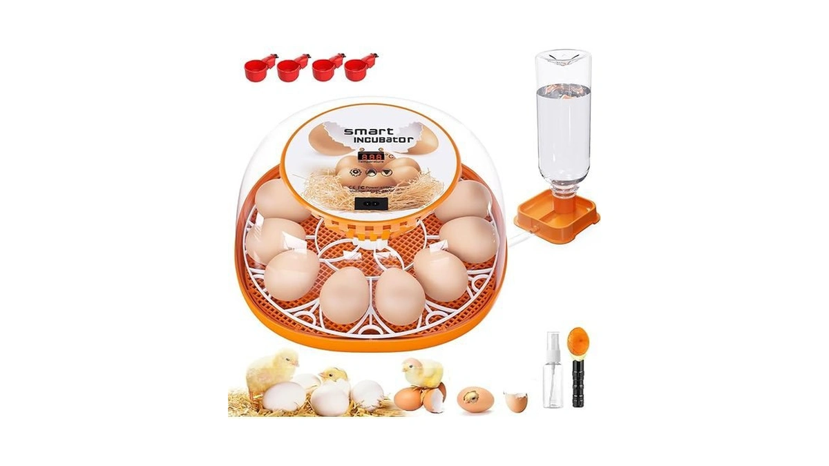 Amazon code: 12 Egg Incubator With Automatic Egg Turn