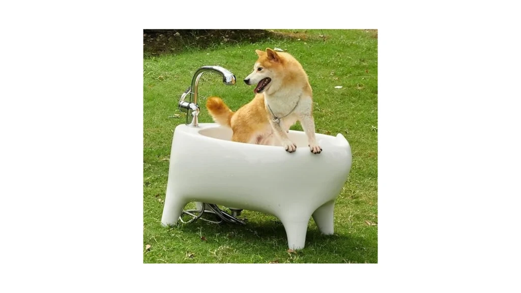 Amazon code: Ellai Freestanding Utility Sink White Ce