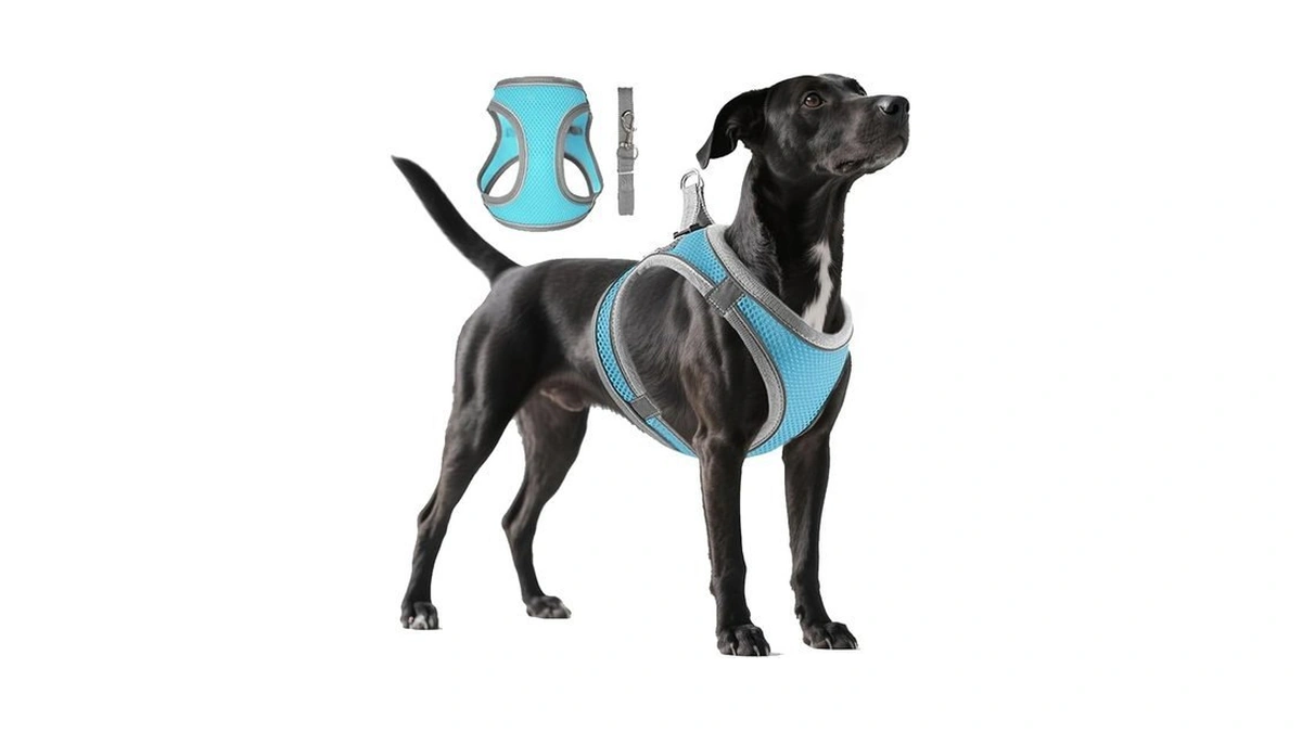 Amazon code: Guanlant Cat Dog Harness Leash Light Esc
