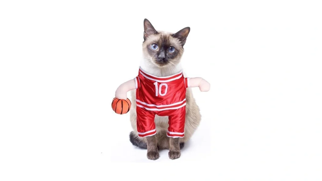 Amazon code: Delifur Dog Basketball Player Costume -