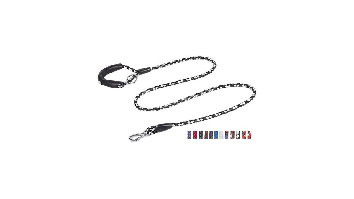 Amazon coupon: Ppeett 4 Ft 5 Ft 6 Ft Leather Dog Leash