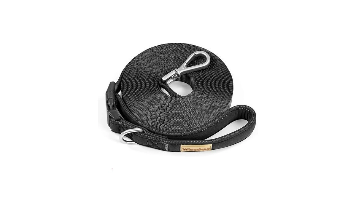Amazon coupon: Wisedog 30 8ft Long Leash For Large Dogs