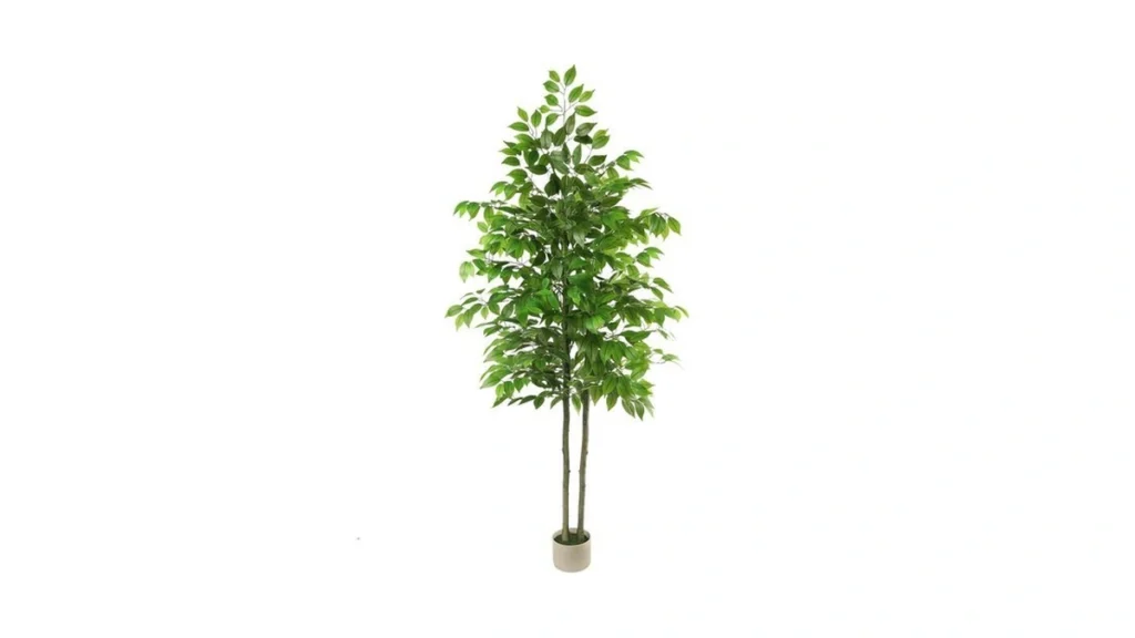 Amazon code: 6ft Ficus Tree Artificial With White Pla