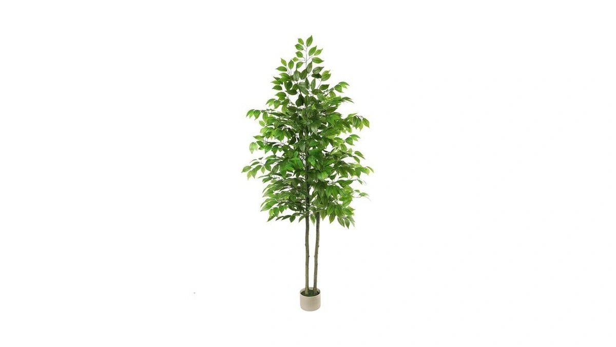 Amazon code: 6ft Ficus Tree Artificial With White Pla