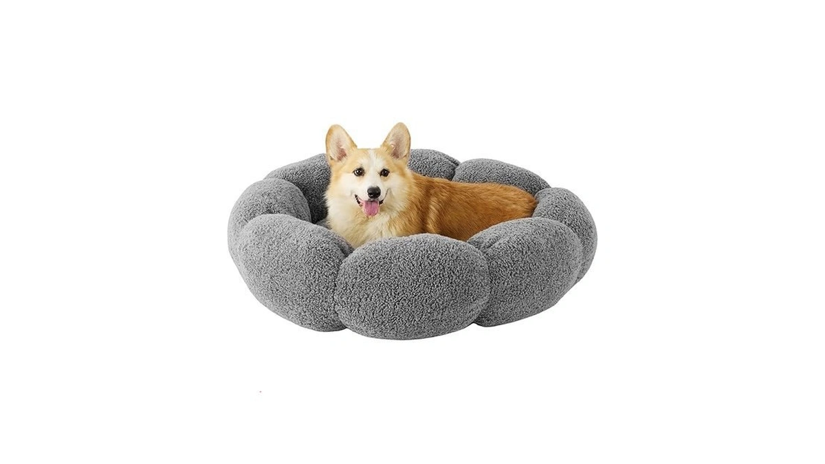 Amazon coupon: Lesure Calming Large Dog Bed - Flower Do