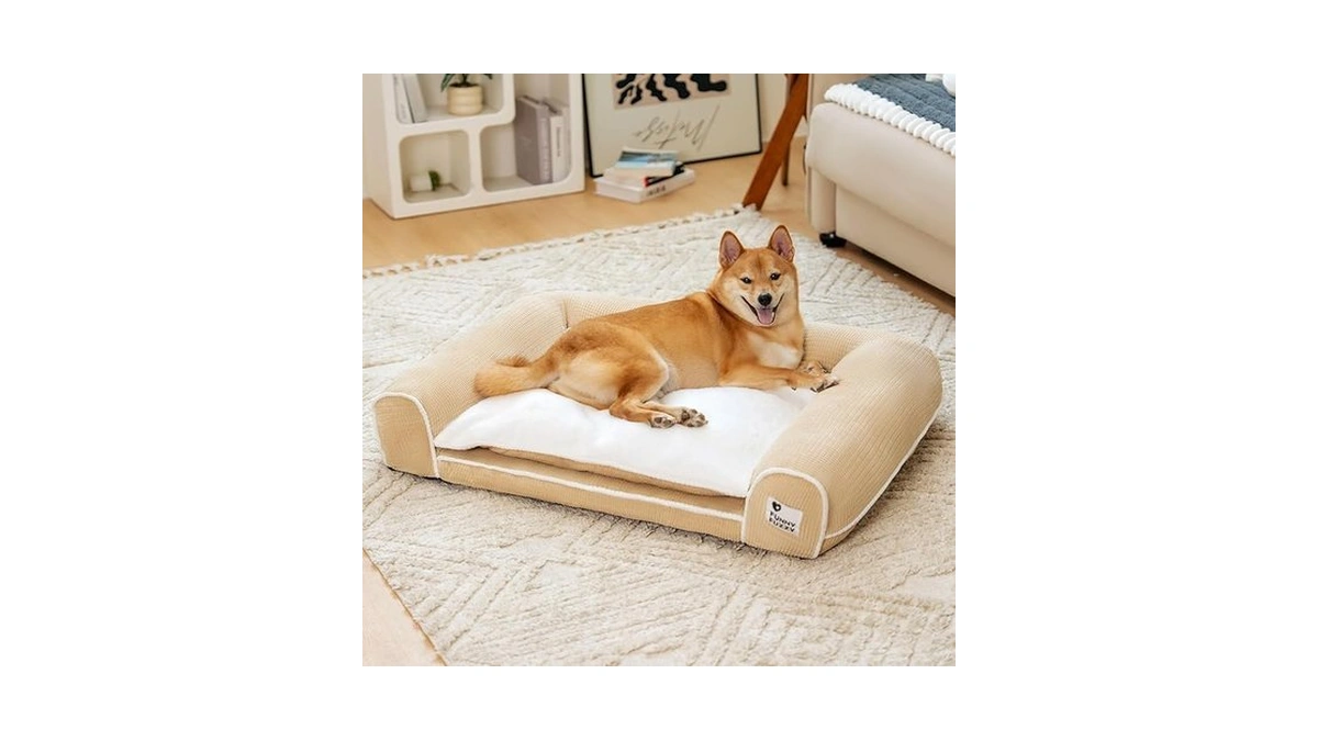 Amazon coupon: Funnyfuzzy Orthopedic Dog Bed Washable D