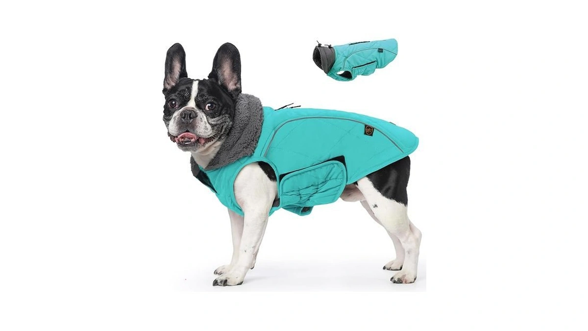 Amazon code: Emust Winter Dog Coats Fleece Dog Appare