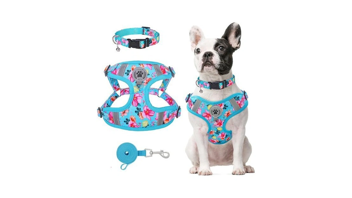 Amazon code: Beautyzoo Dog Harness Collar And Leash S