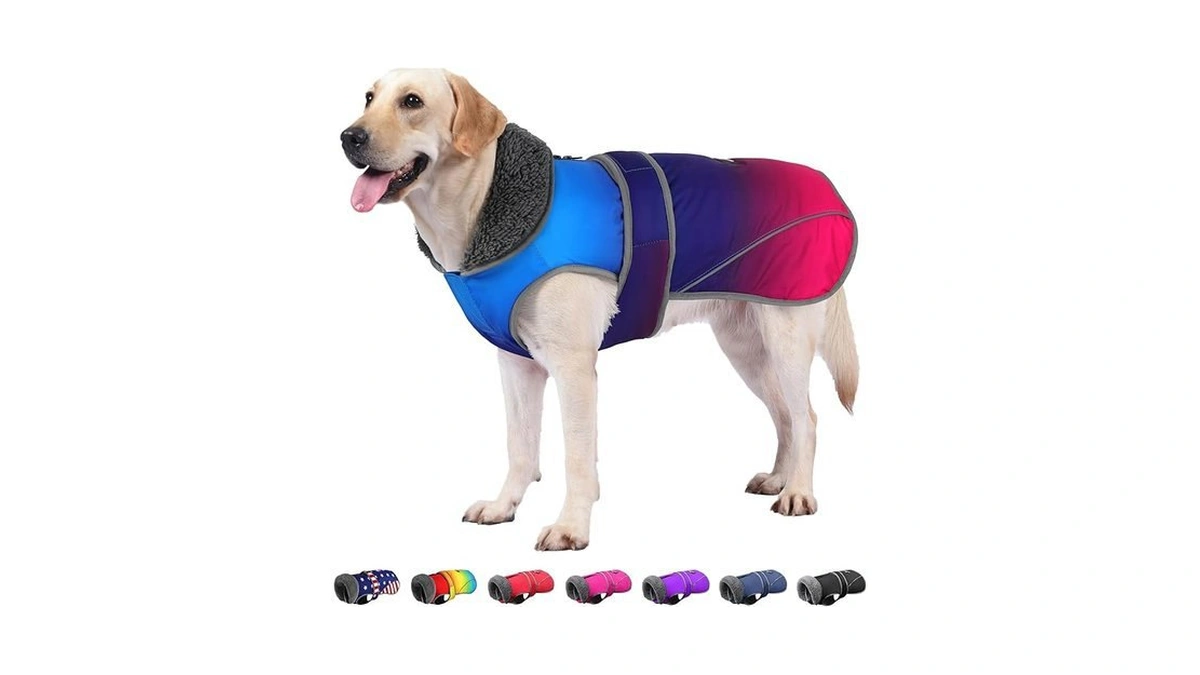 Amazon code: Dogcheer Dog Coat Waterproof Dog Jacket