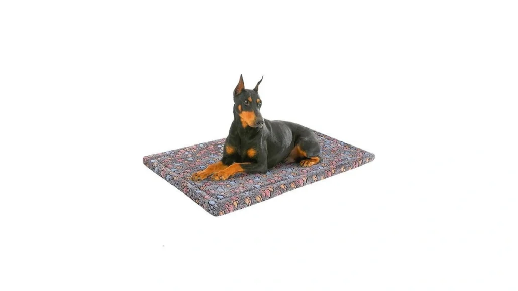 Amazon code: Beautyzoo Dog Bed Crate Pad 48 X 30 Inch