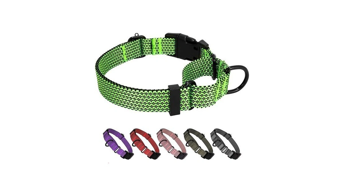 Amazon code: Bxpaw Martingale Dog Collars Adjustable