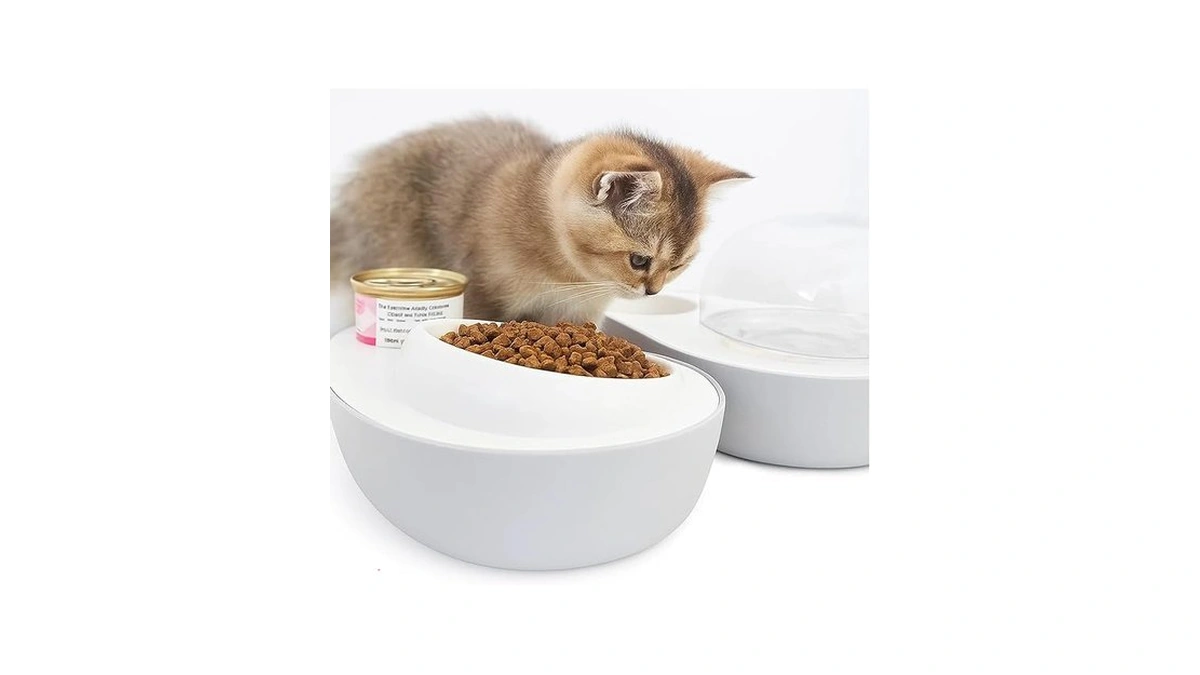 Amazon coupon: Cat Food And Water Bowl Avocado Cat Bowl
